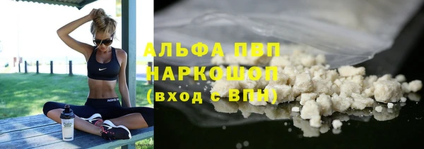 PSILOCYBIN Аркадак