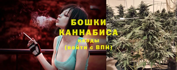 меф Арсеньев