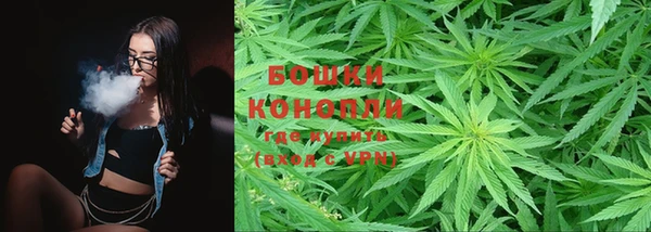 PSILOCYBIN Аркадак