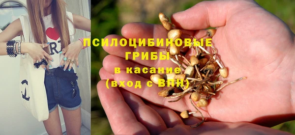 меф Арсеньев