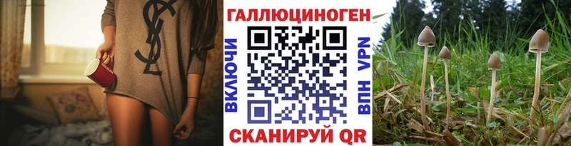 KRAKEN ссылка  Приморско-Ахтарск  Псилоцибиновые грибы Psilocybe 